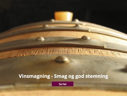 Vinsmagning